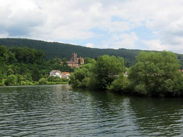 Angeln am Neckar: 1m Welse sind in der Neckar keine Seltenheit