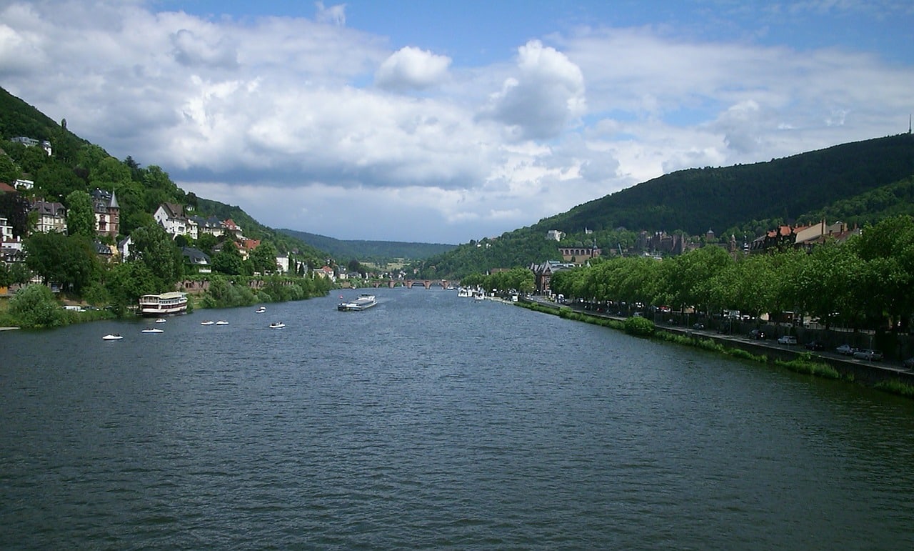 Angeln am Neckar - Bestände reduzieren sich