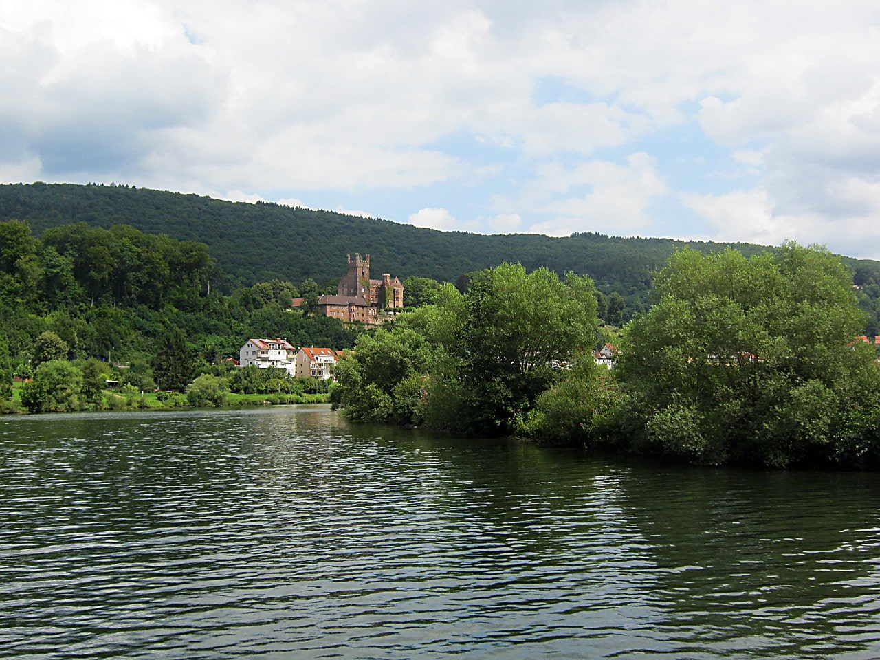 Angeln am Neckar