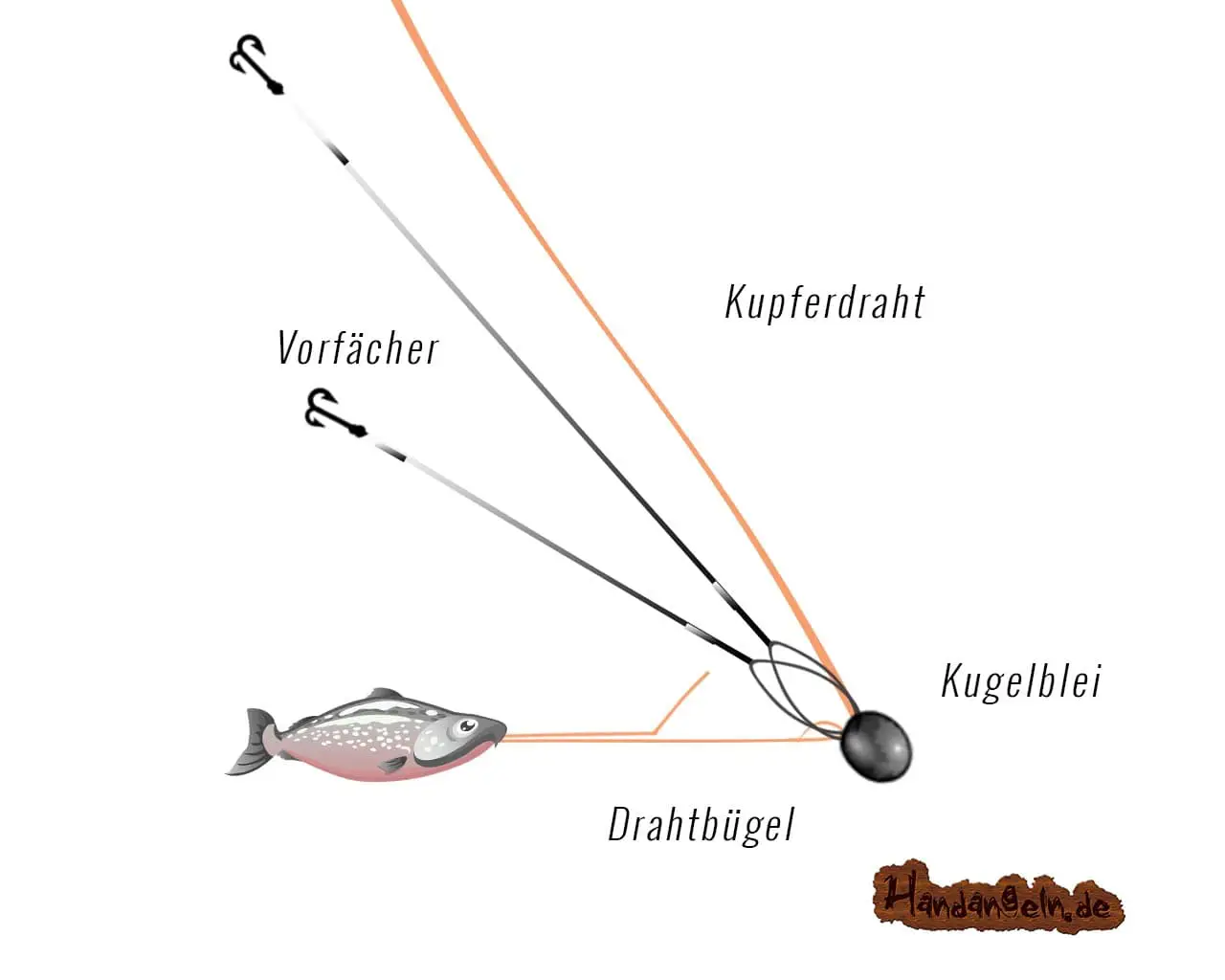 Backup-System für Köderfische # S