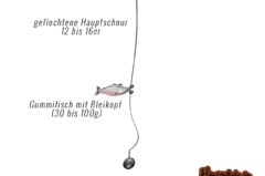 Grundmontage: Top 10 für Forelle Zander Hecht Aal etc. zum Grundangeln