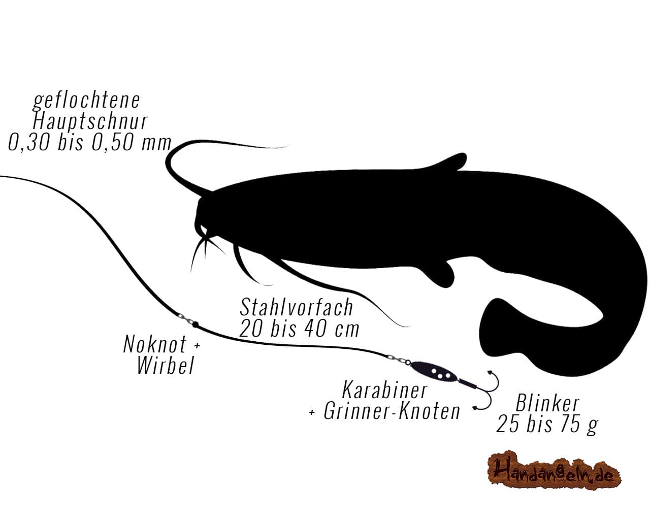 grafische Illustration Montageanleitung Spinnfischen Wels Waller