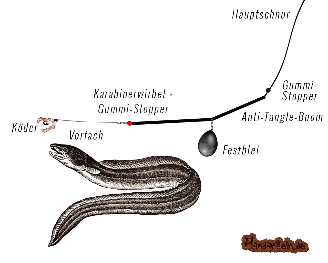 Illustration Selbsthakmontage Aal Raubfisch