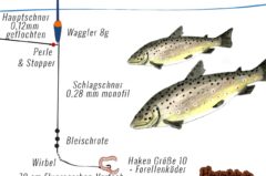 Vorbebleite Wagglermontage für Matchrute top 3 Forelle Schleie & Karpfen